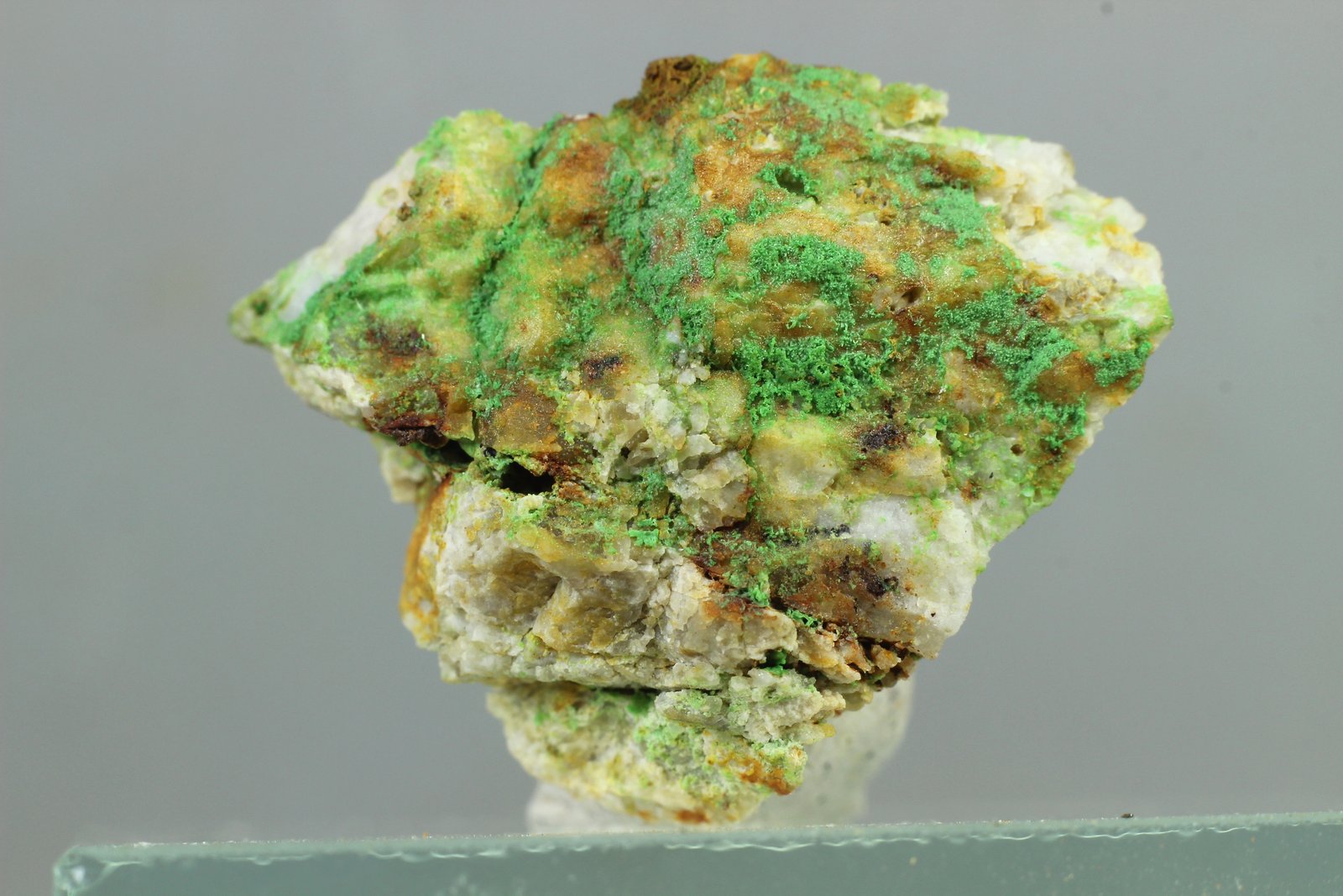Bayldonita
26x21x10 mm
(Autor: Juan Espino)