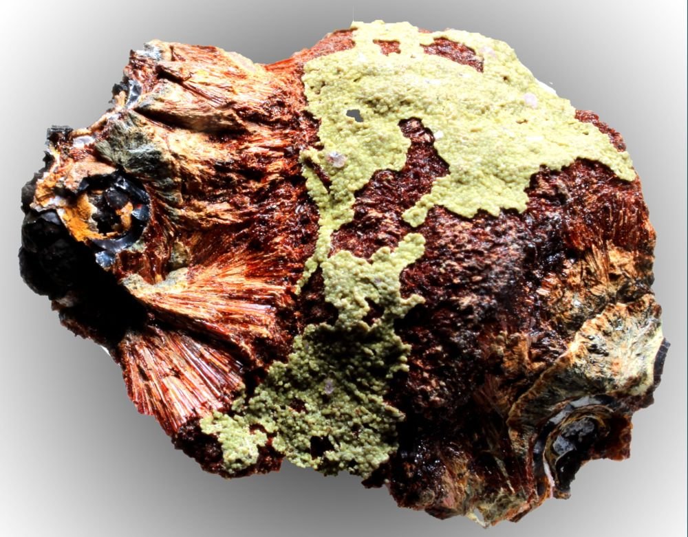 Beraunita
20 x 20 mm
(Autor: José Luis Zamora)