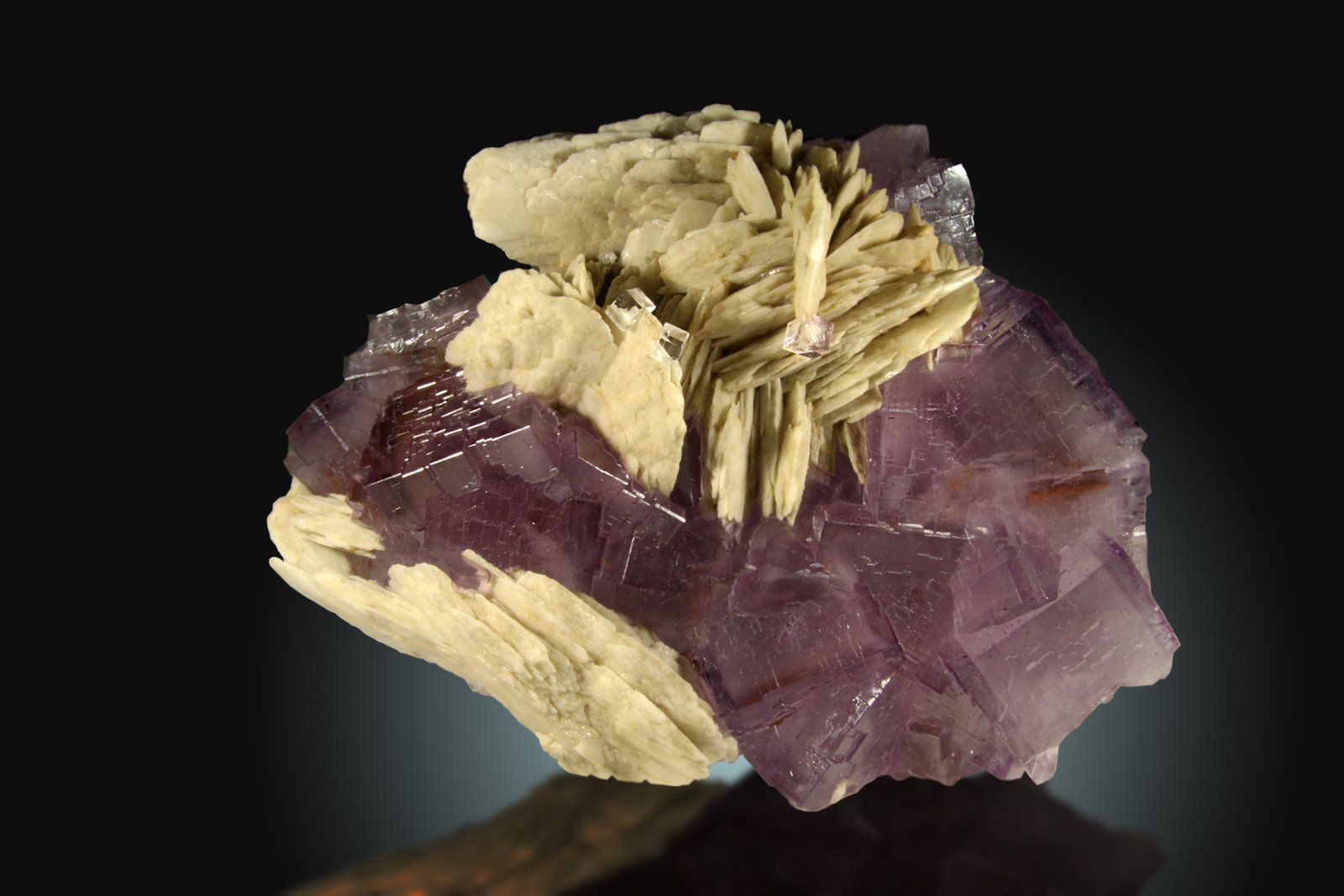 Fluorita, Barita
15x12cm, cristales hasta 3.5cm
(Autor: Raul Vancouver)