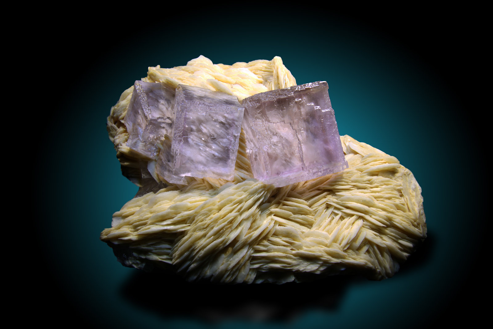 Fluorita y Barita
14x9 cm, cristales de hasta 35 mm de arista
(Autor: Raul Vancouver)