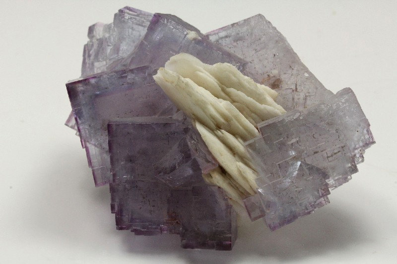 Fluorita, Barita
7x5cm, cristales hasta 25mm de arista
(Autor: Raul Vancouver)