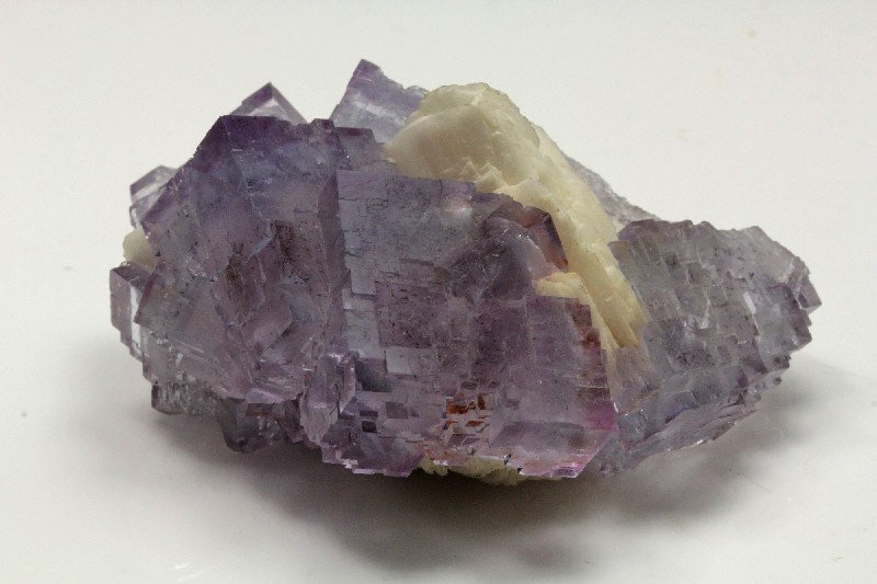 Fluorita, Barita
7x5cm, cristales hasta 25mm de arista
(Autor: Raul Vancouver)