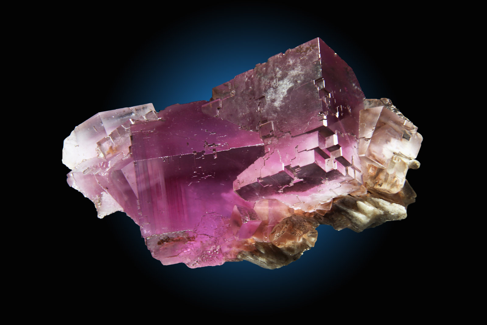Fluorita, Barita
10x7cm, cristales de 4cm de arista
(Autor: Raul Vancouver)