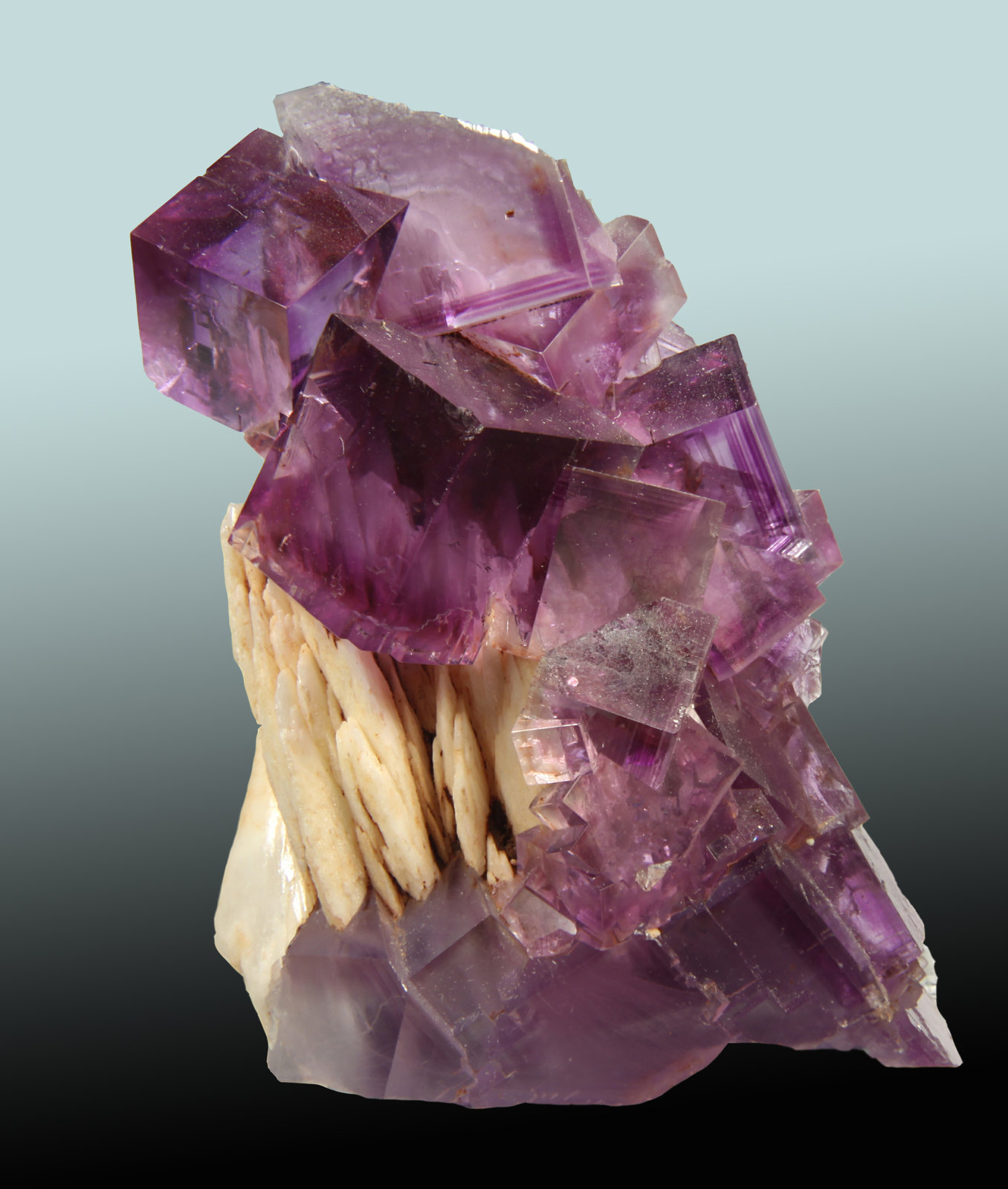 Fluorita, Barita
85x60mm, cristales de hasta 20mm
(Autor: Raul Vancouver)