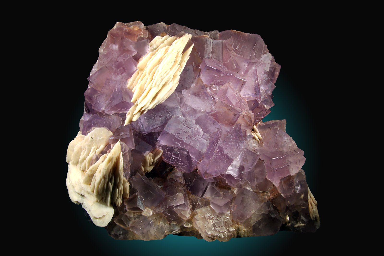 Fluorita, Barita
18x15cm, cristales hasta 3cm
(Autor: Raul Vancouver)