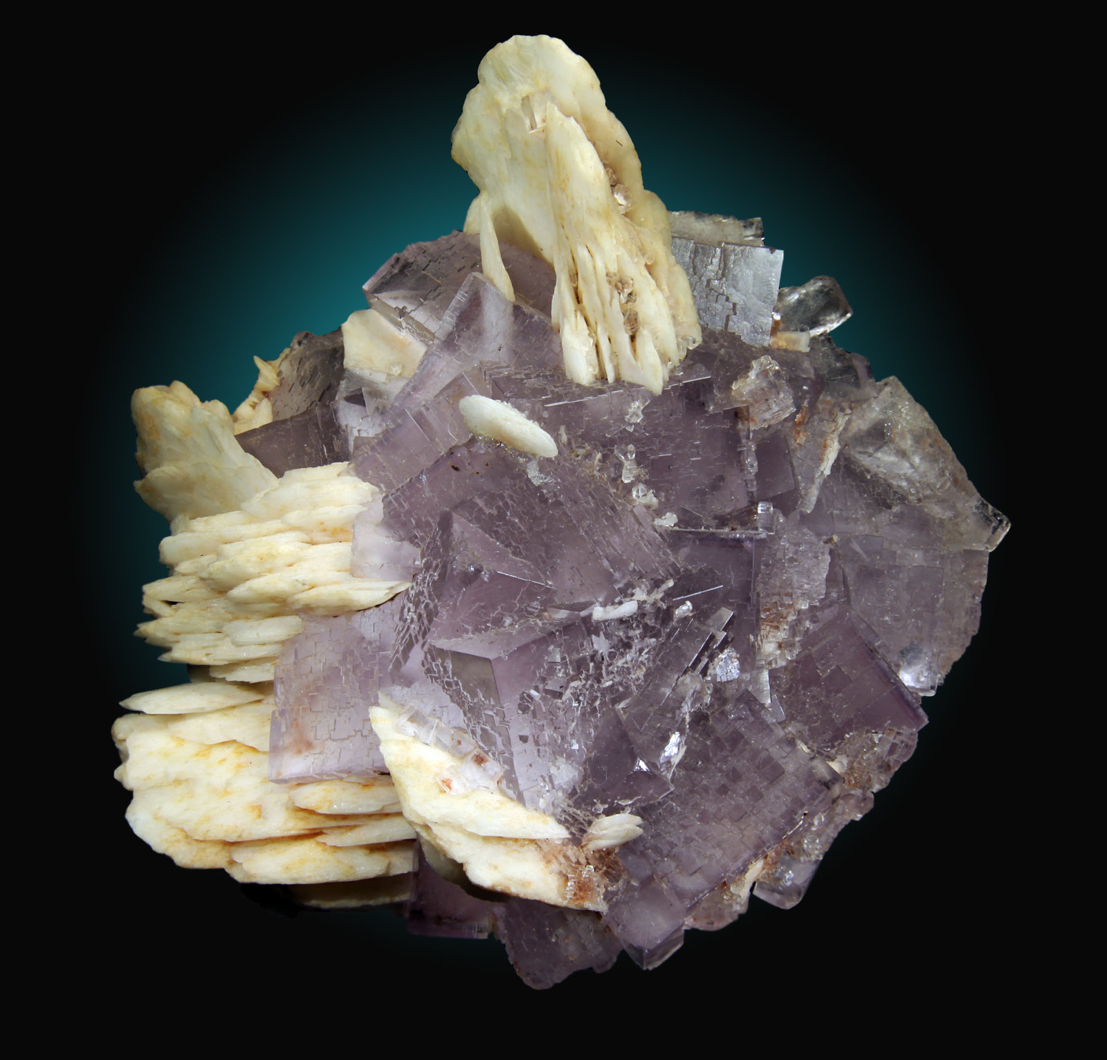 Fluorita, Barita
10x10cm, cristales hasta 3cm
(Autor: Raul Vancouver)