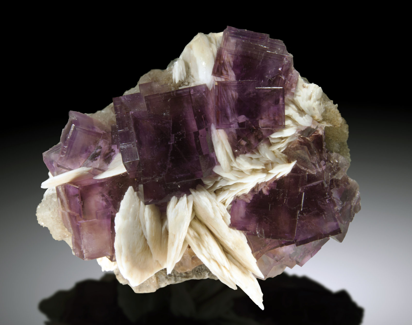 Fluorita, Barita
10.5 x 8.5cm, cristales hasta 2.7cm de arista
(Autor: Raul Vancouver)