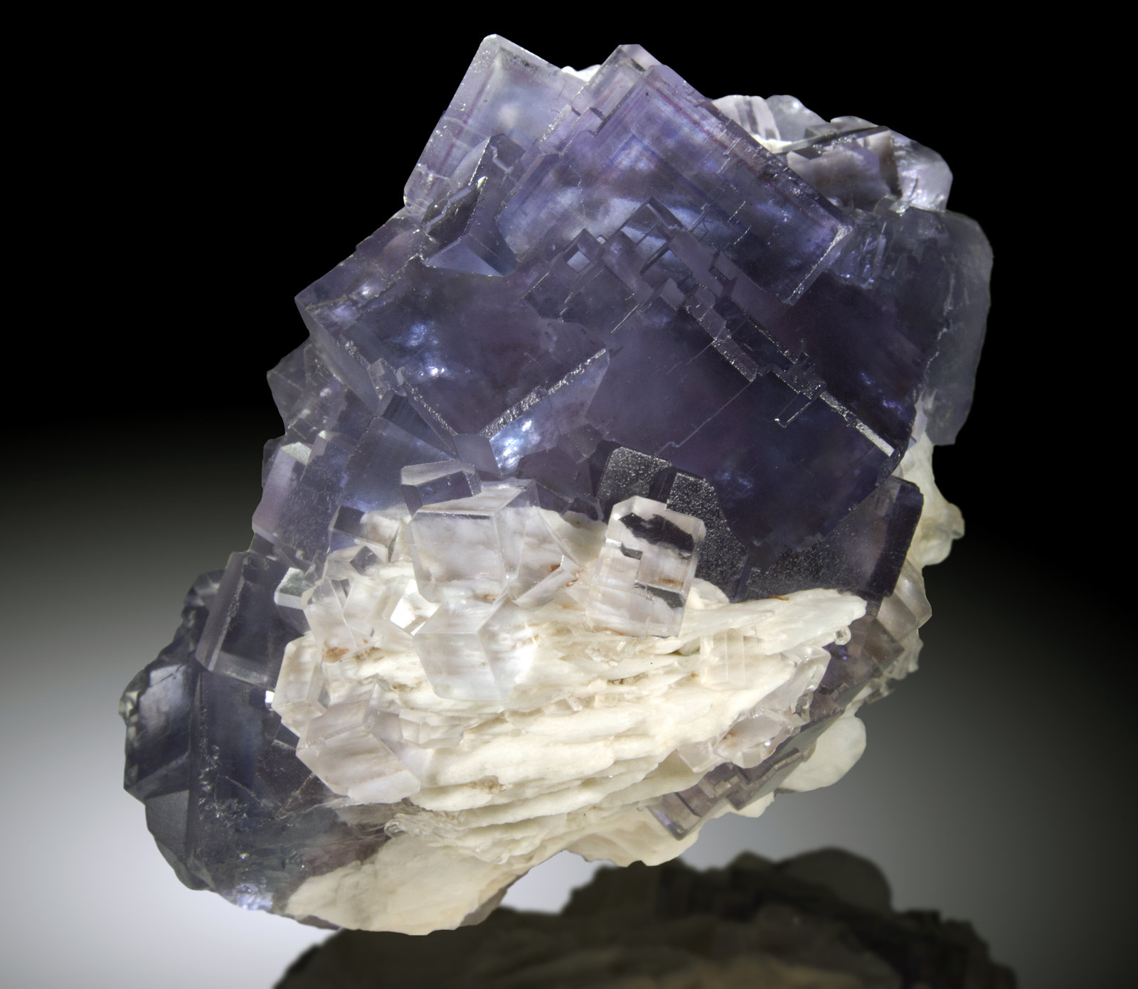 Fluorita
Cristales de hasta 4.5cm de arista,
(Autor: Raul Vancouver)