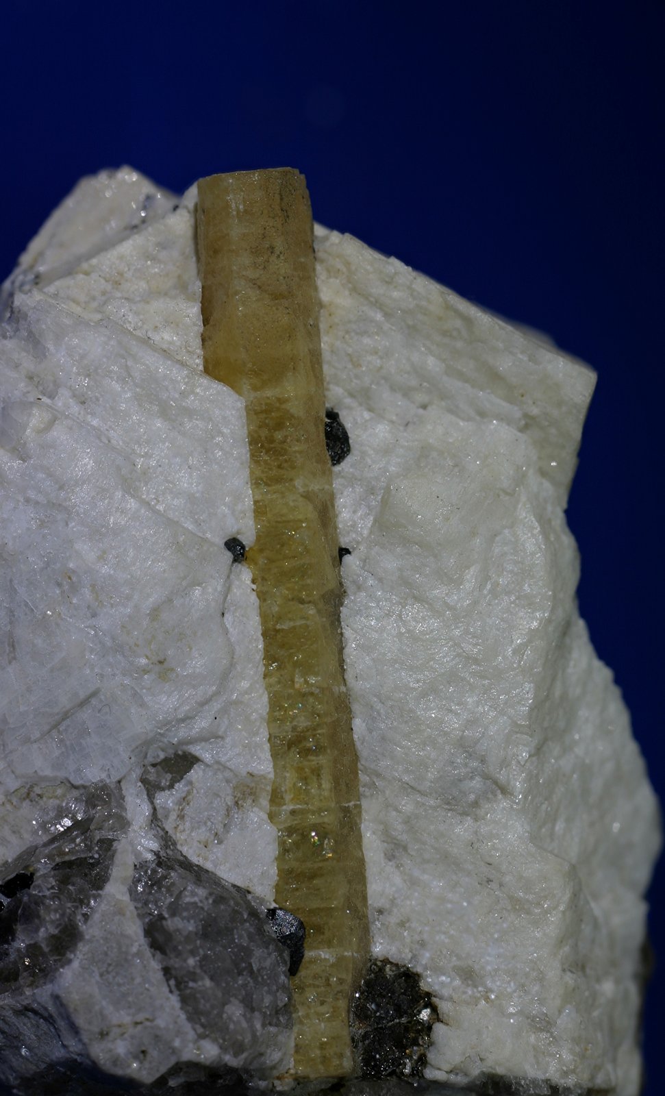 Berilo (variedad heliodoro)
cristal 6x48mm
(Autor: Ramon A  Lopez Garcia)