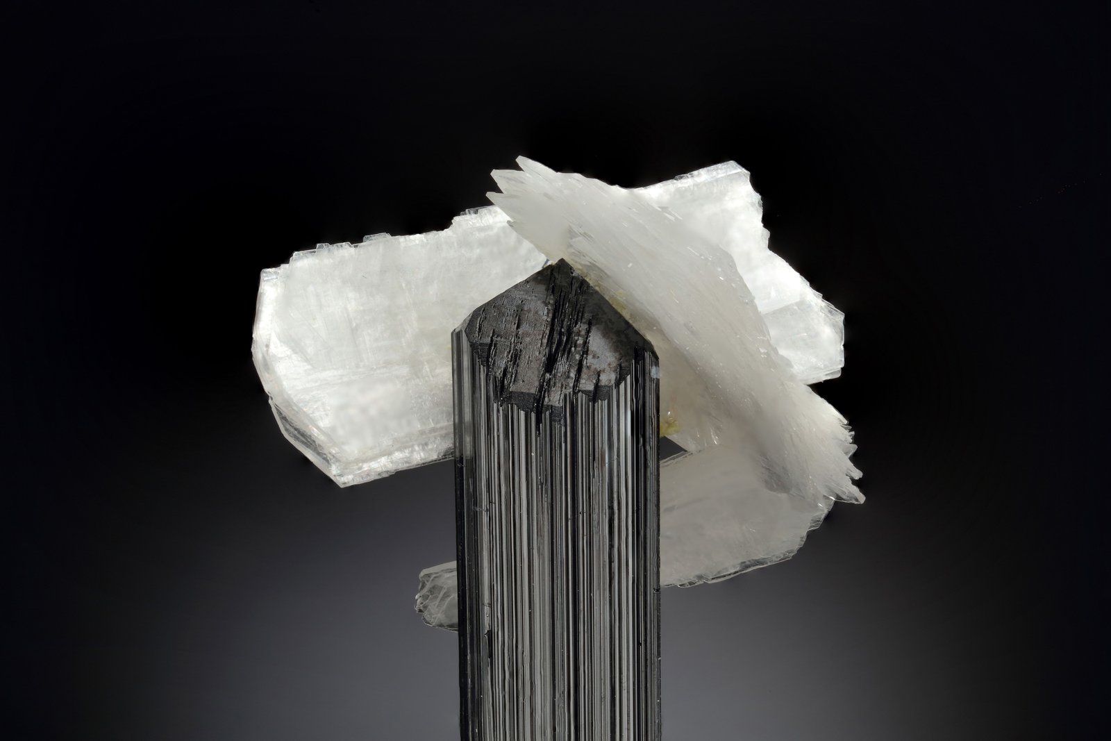 Bertrandita
6.5 x 5 x 13.5 cm / cristal principal: 3.7 cm
(Autor: Museo MIM)