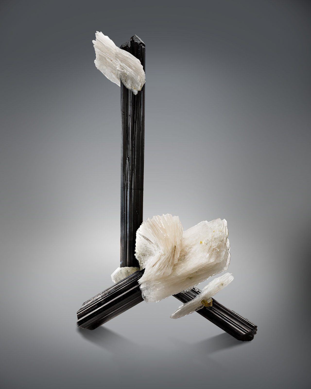 Bertrandita [Bertrandite] en Chorlo [Schorl]
7 x 5 x 12.5 cm / cristal principal: 4.2 cm
(Autor: Museo MIM)