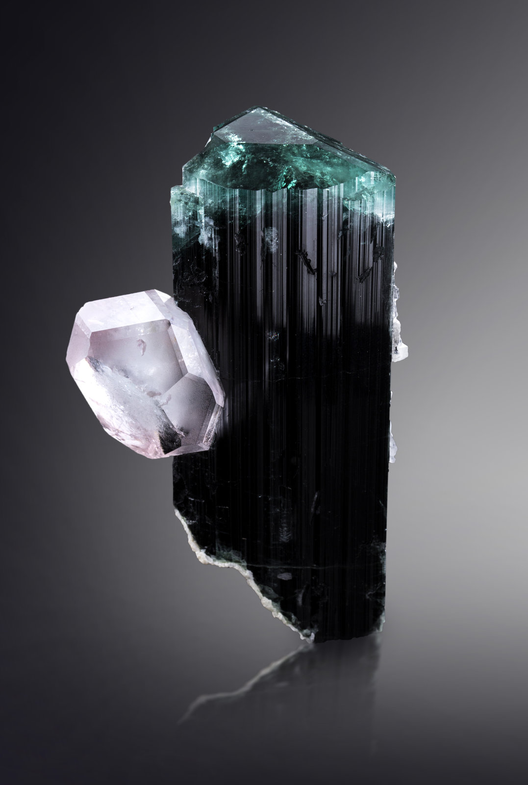 Berilo [Beryl] (variedad morganita) sobre Elbaíta [Elbaite] (variedad indicolita)
7 x 5.5 x 11 cm / cristal principal: 4.4 cm
(Autor: Museo MIM)