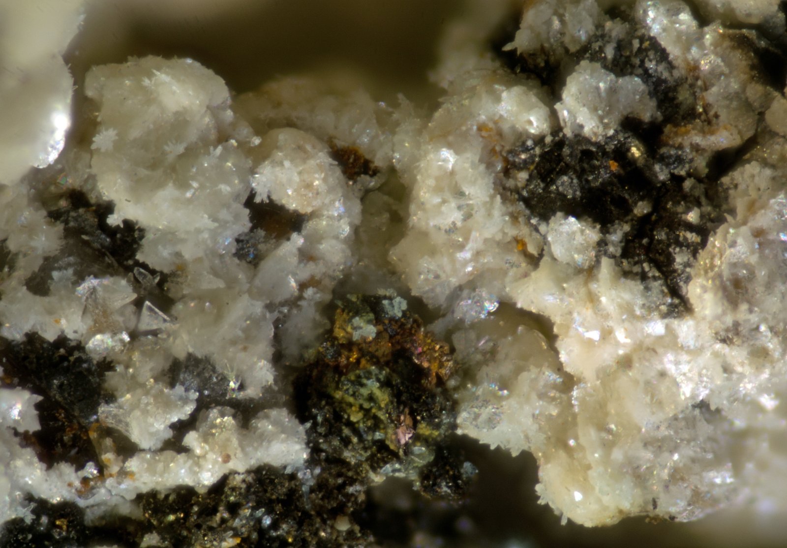Beyerita
FOV 1 cm
(Autor: Cesar M. Salvan)
