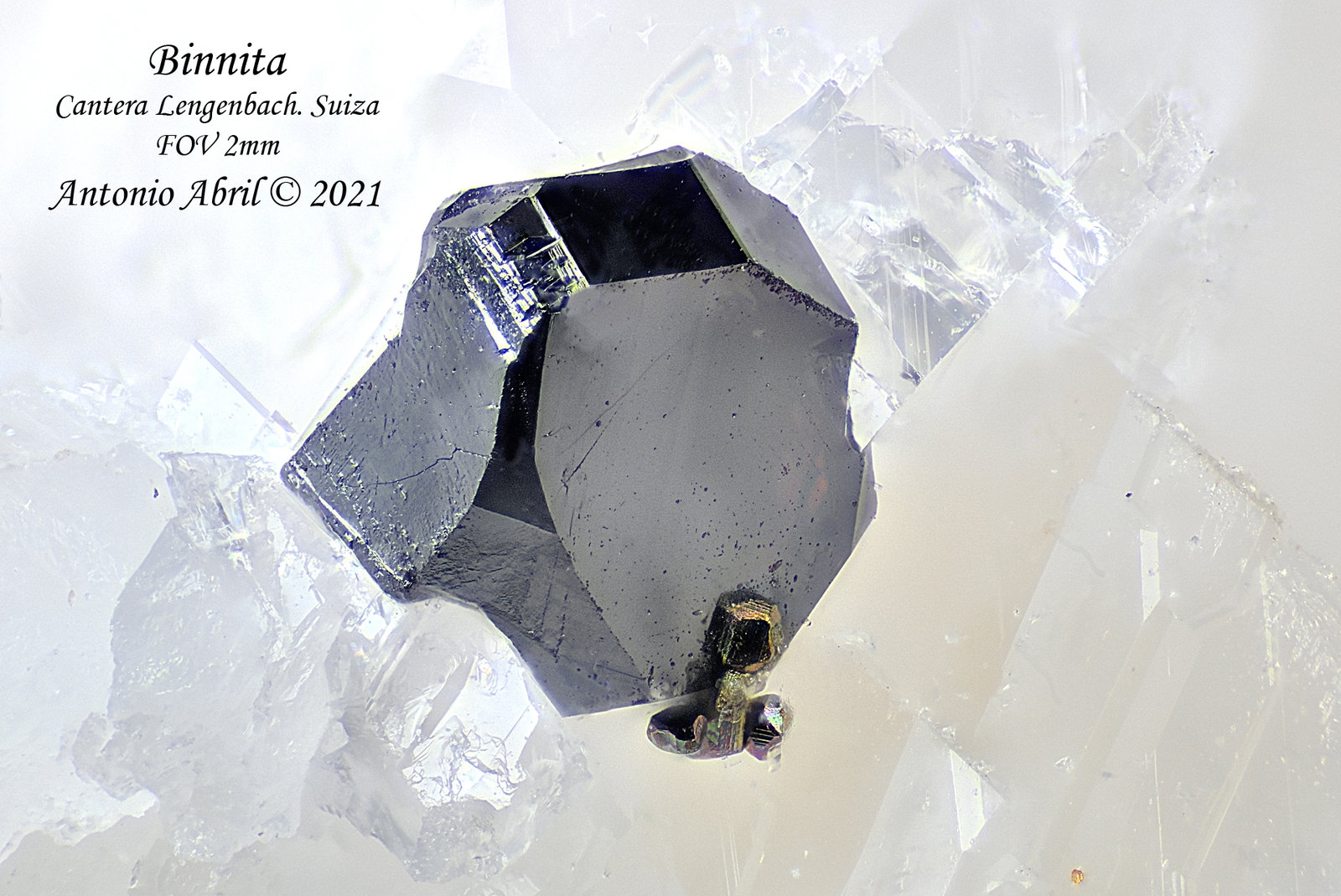 Binnita
2 mm.
(Autor: Antonio Abril)