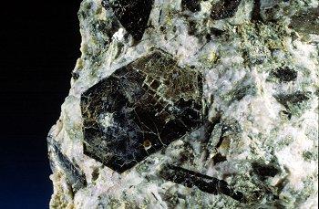 Biotita.
Cristal de 1 cm.
(Autor: Adrian Pesudo)