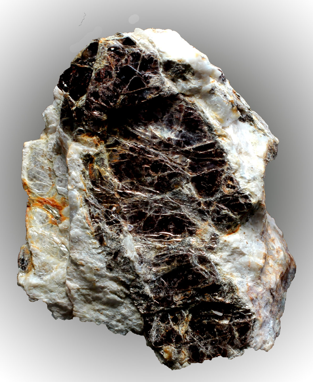 Biotita
41 x 30 x 21 mm
(Autor: José Luis Zamora)