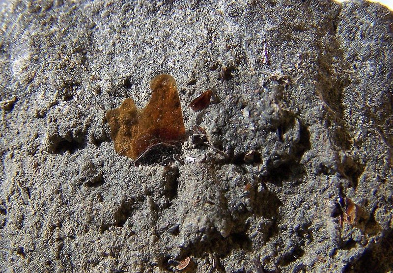 Biotita
6mm
(Autor: canada)