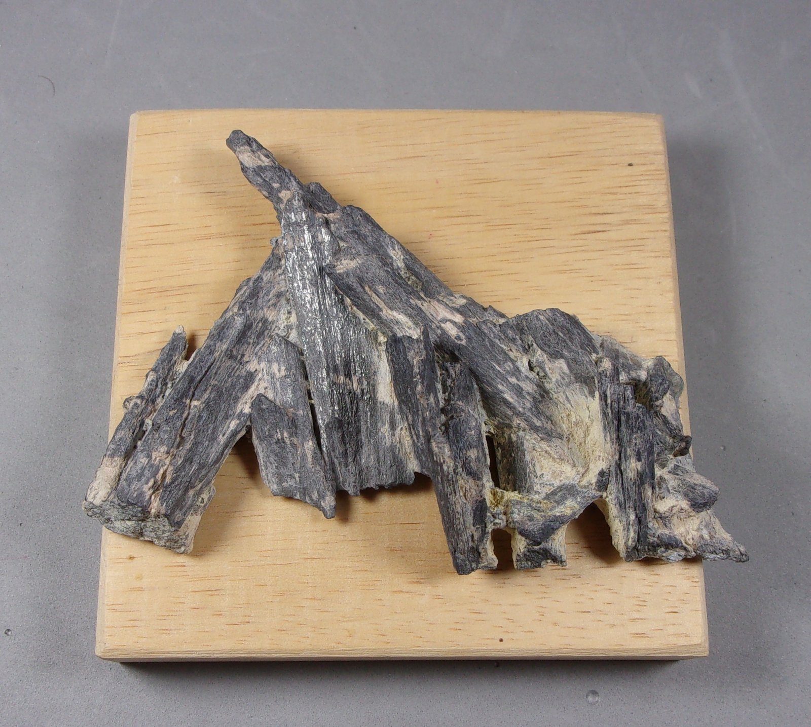 Bismutinita
9,2 x 6,8 x 1,8 cm.
(Autor: J. G. Alcolea)