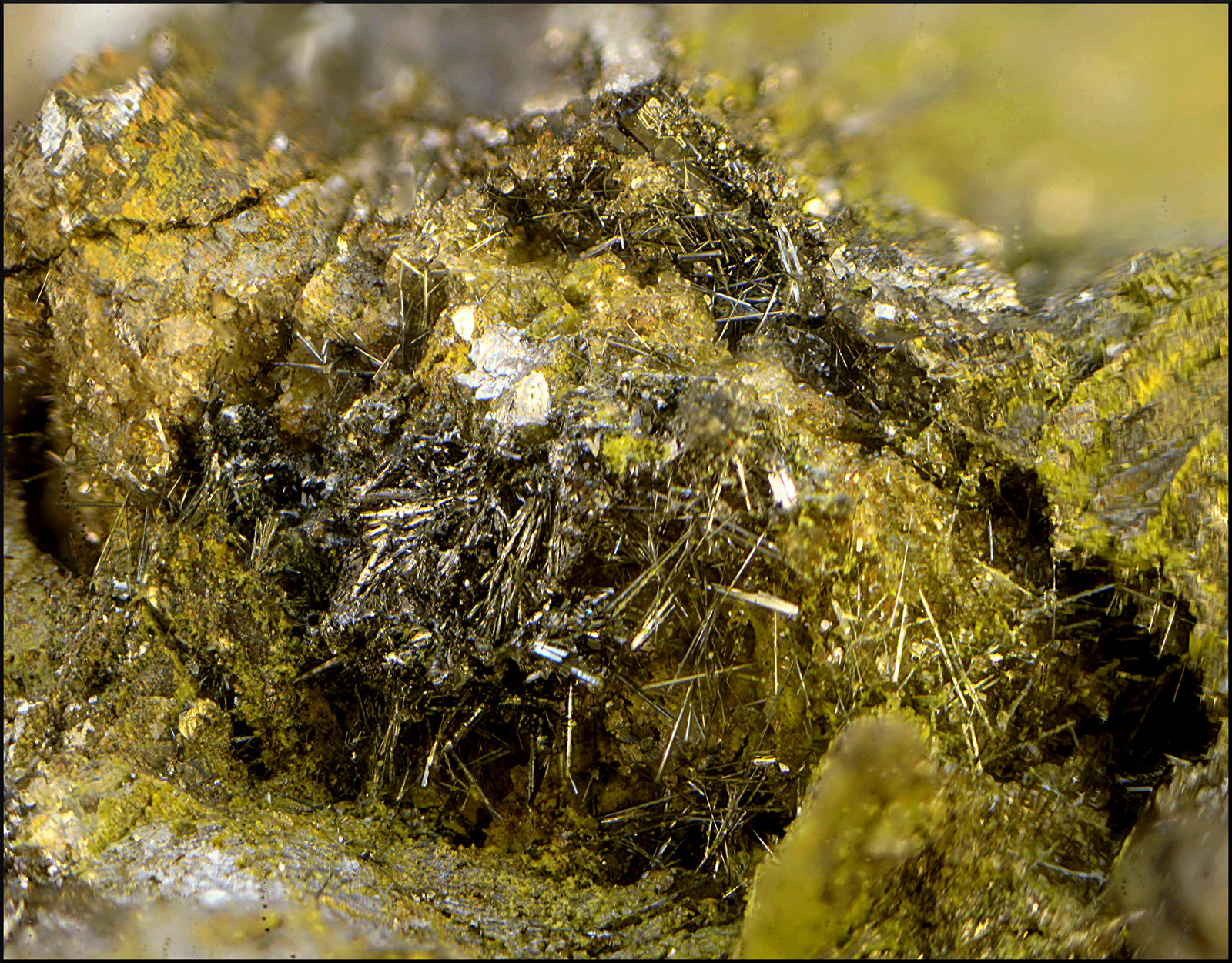 Bismutinita
Campo de visión de 4 mm.
(Autor: Antonio Carmona)