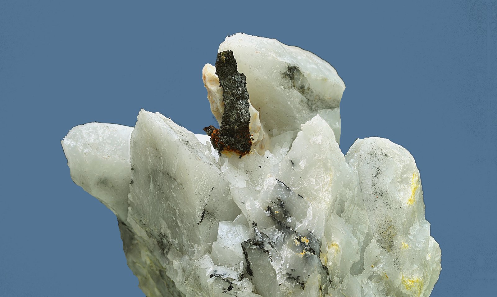 Bismutinita
Cristal de 2,5x 0,4 cm
(Autor: Antonio Carmona)
