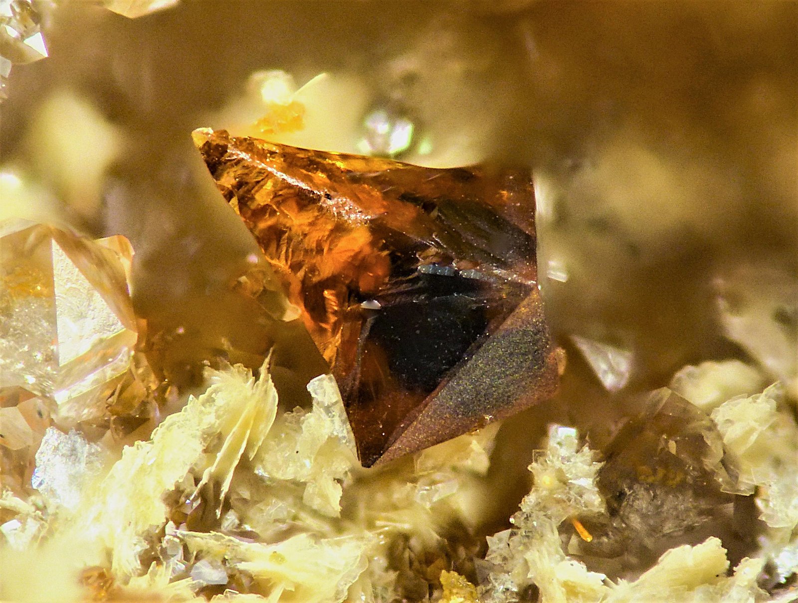 Bismutita
2 mm
(Autor: Borja Sainz de Baranda)