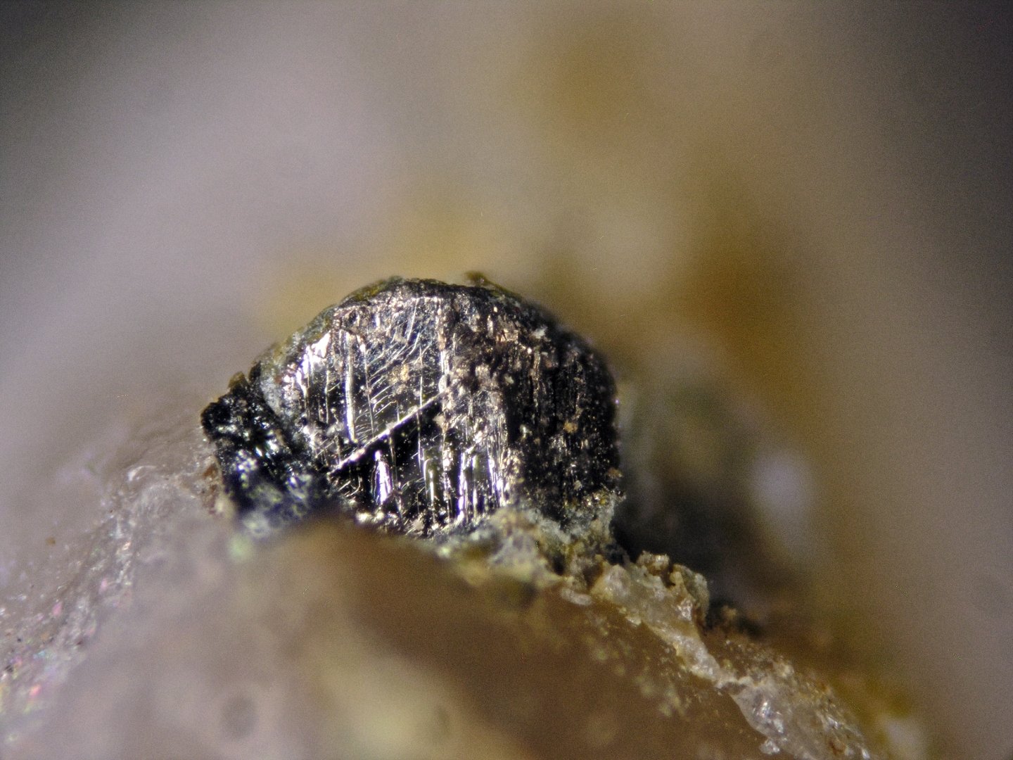 Bismuto
Cristal 2 mm
(Autor: Cesar M. Salvan)