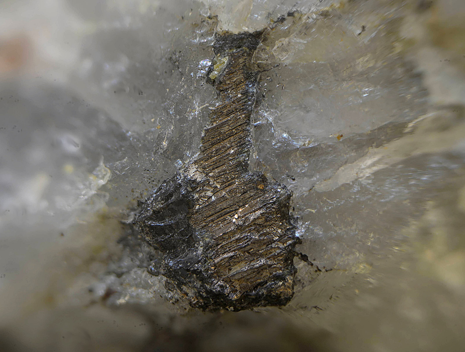 Bismuto
Campo de visión de 5 mm
(Autor: Antonio Carmona)