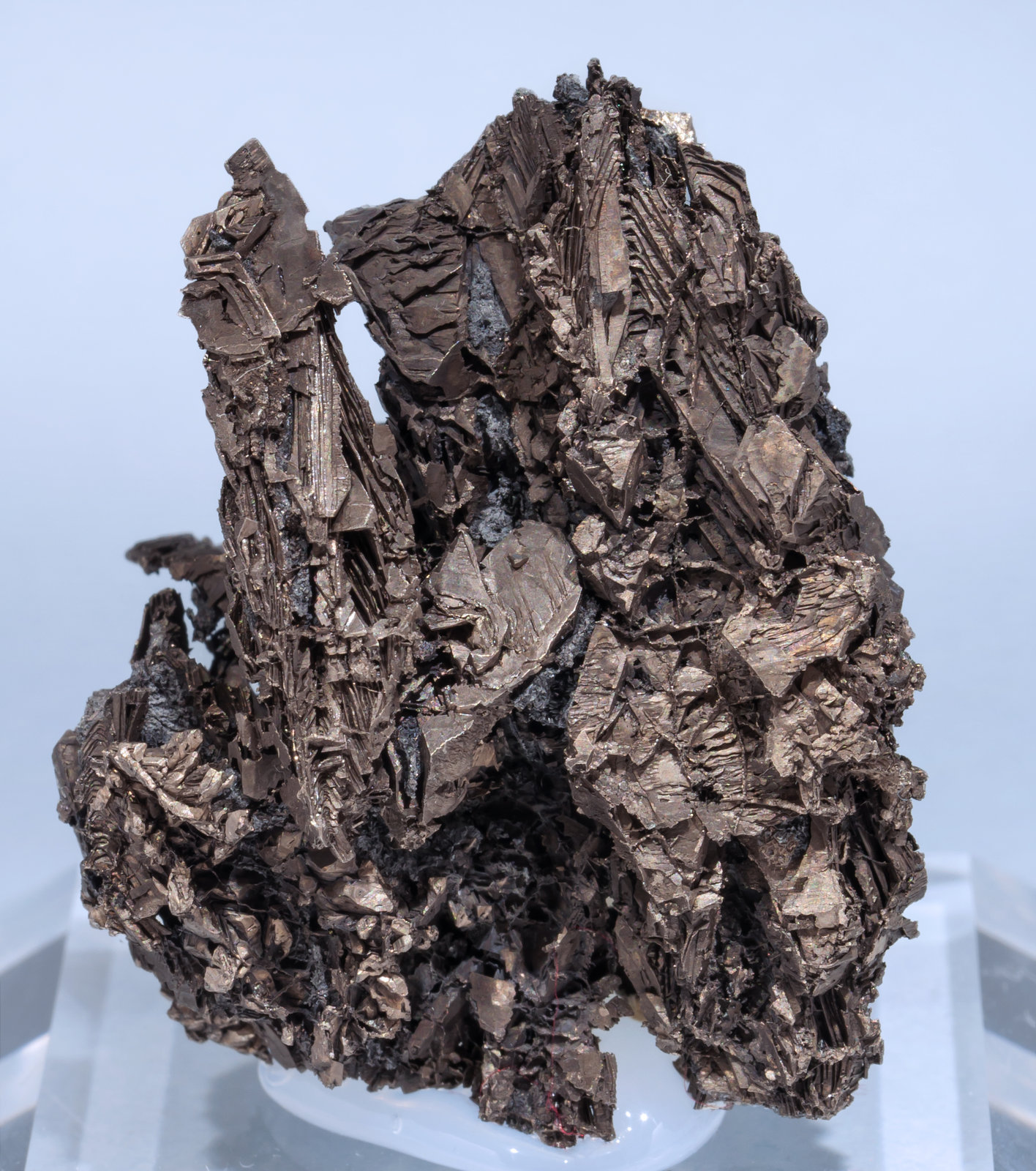 Bismuto
4.2 × 3.4 × 2.5 cm
(Autor: carles)