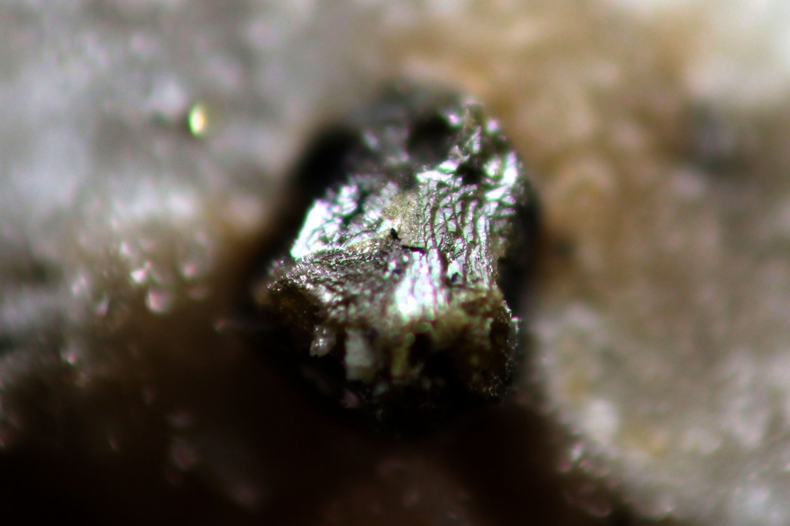 Esfalerita
2 mm.
(Autor: José Luis Zamora)