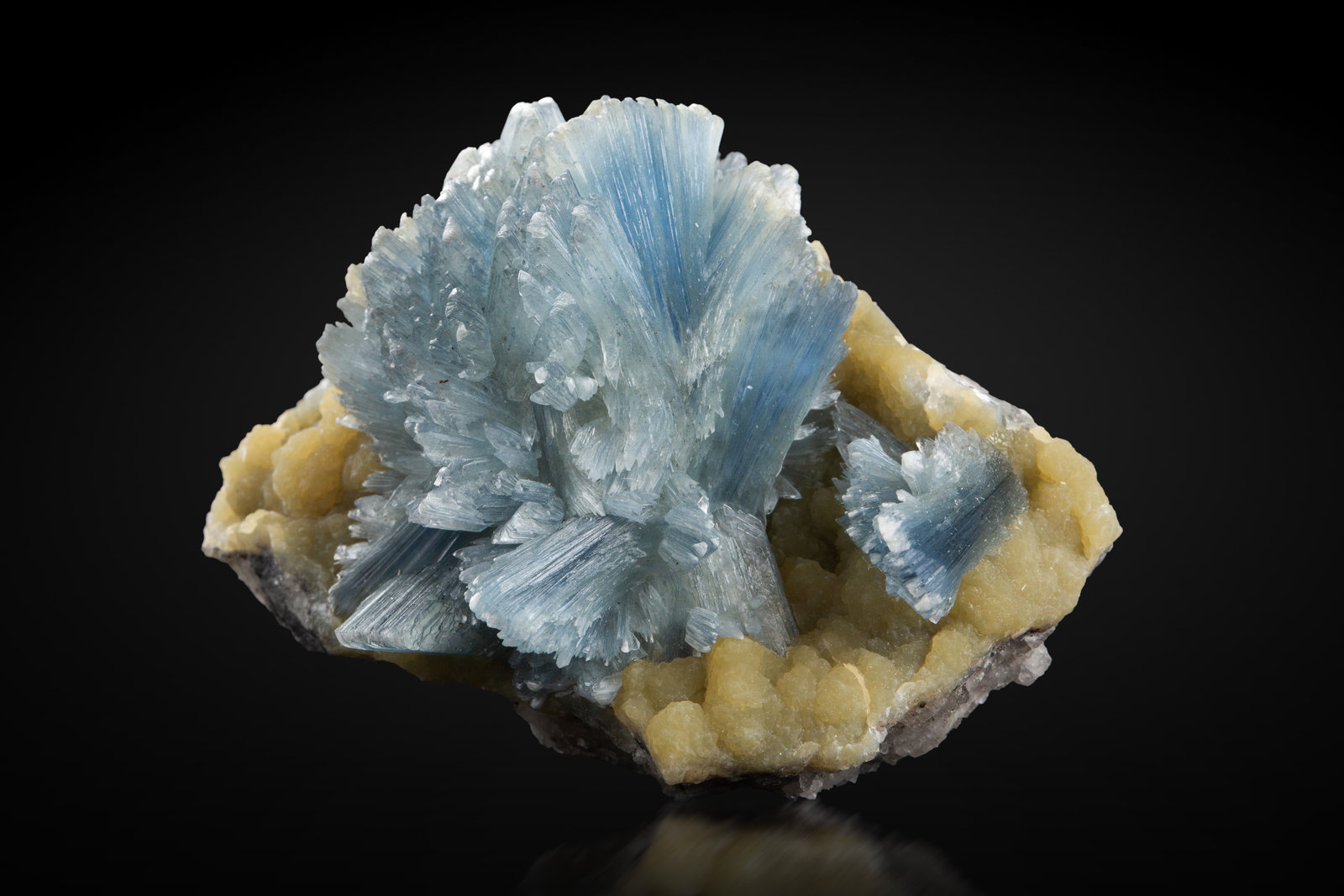 Bobierrita con Collinsita
6.5 x 5 x 3.5 cm / cristal principal: 2.0 cm
(Autor: Museo MIM)