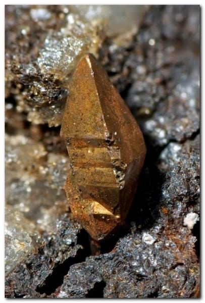 Cobre
Cristal 2 mm.
(Autor: Rafa Muñoz(mineralvarado))