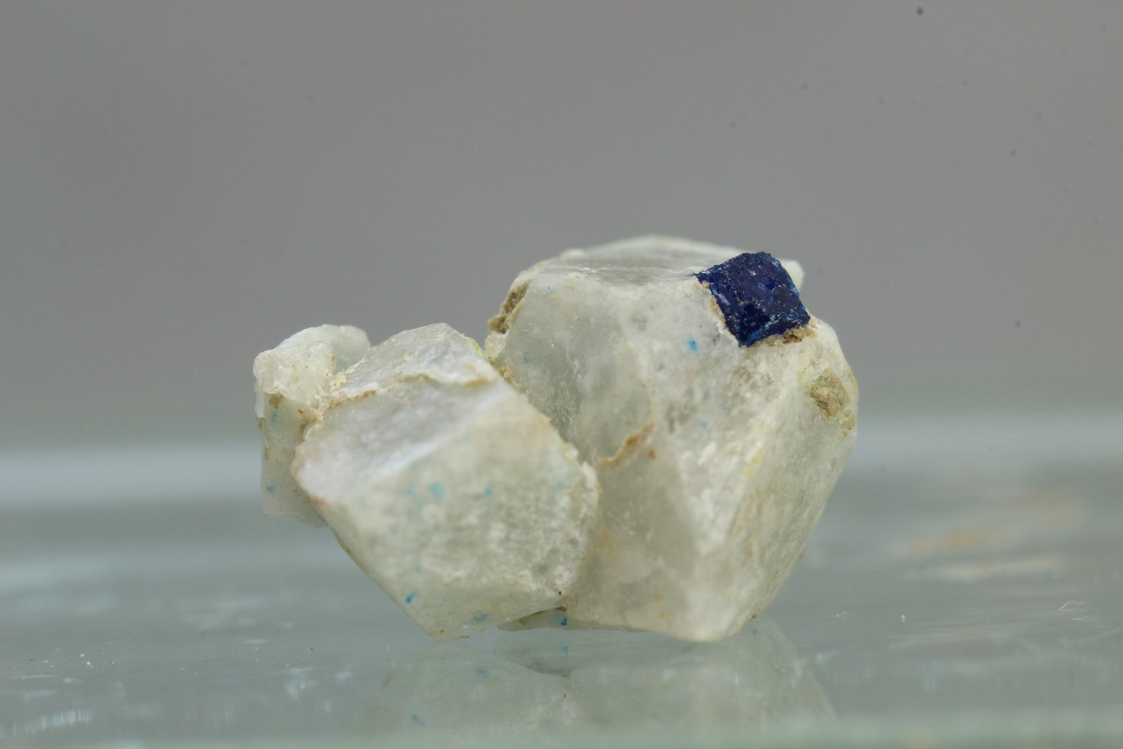 Boleita
07x08 mm
(Autor: Juan Espino)