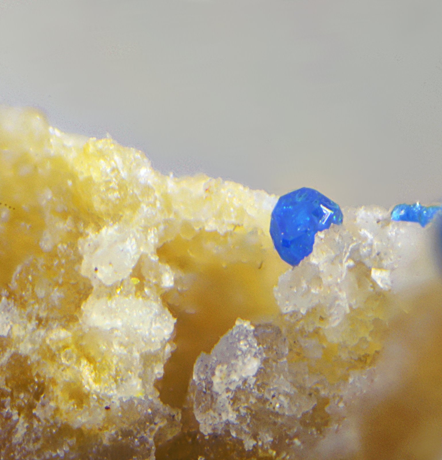 Boleíta
Campo de visión de 0,7 mm.
(Autor: Antonio Carmona)