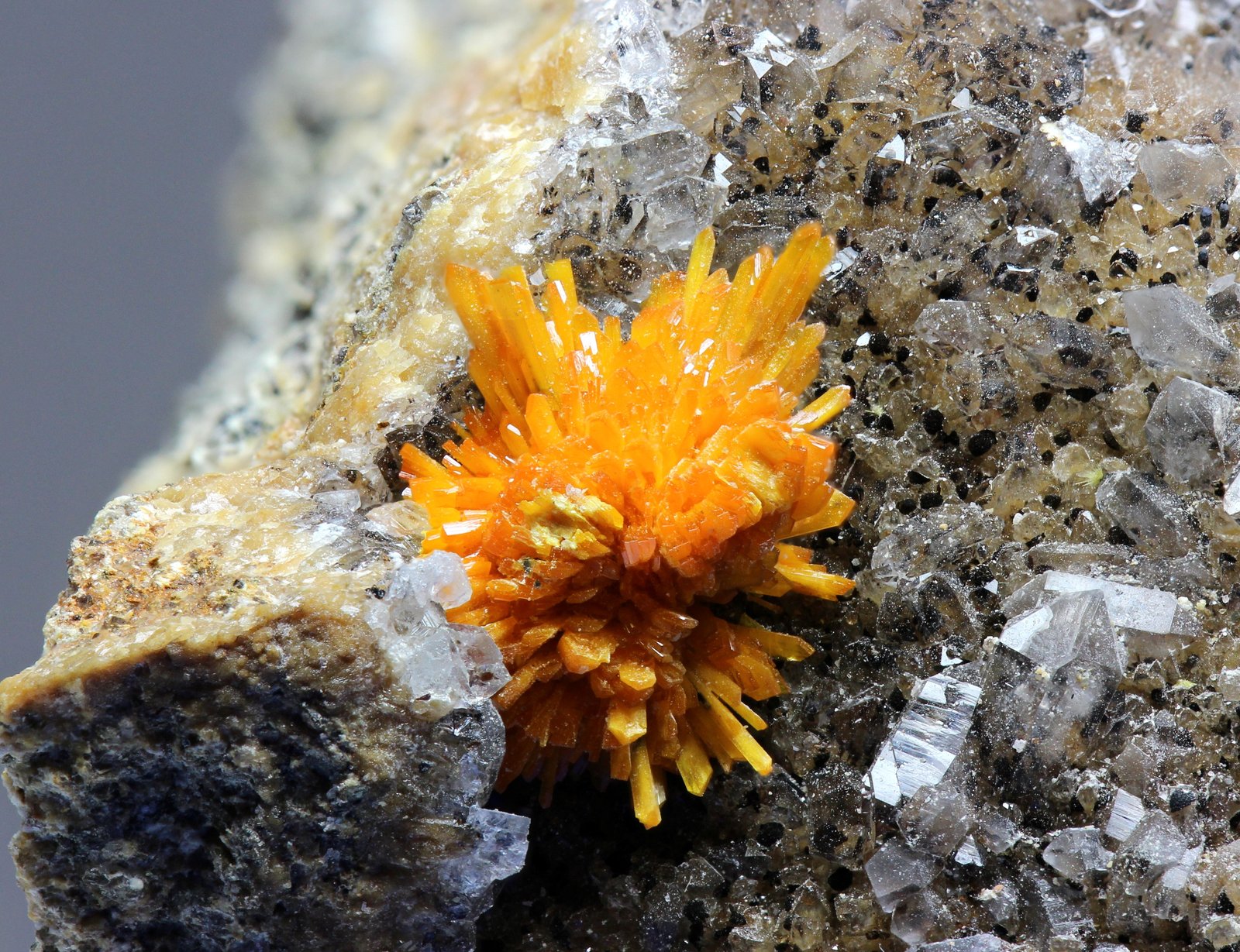 Boltwoodita
grupo cristales  11x12 mm
(Autor: Ramon A  Lopez Garcia)