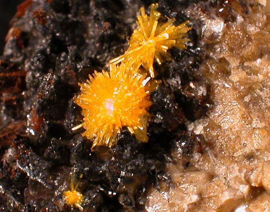 Boltwoodita
FOV 1 cm
(Autor: Cesar M. Salvan)