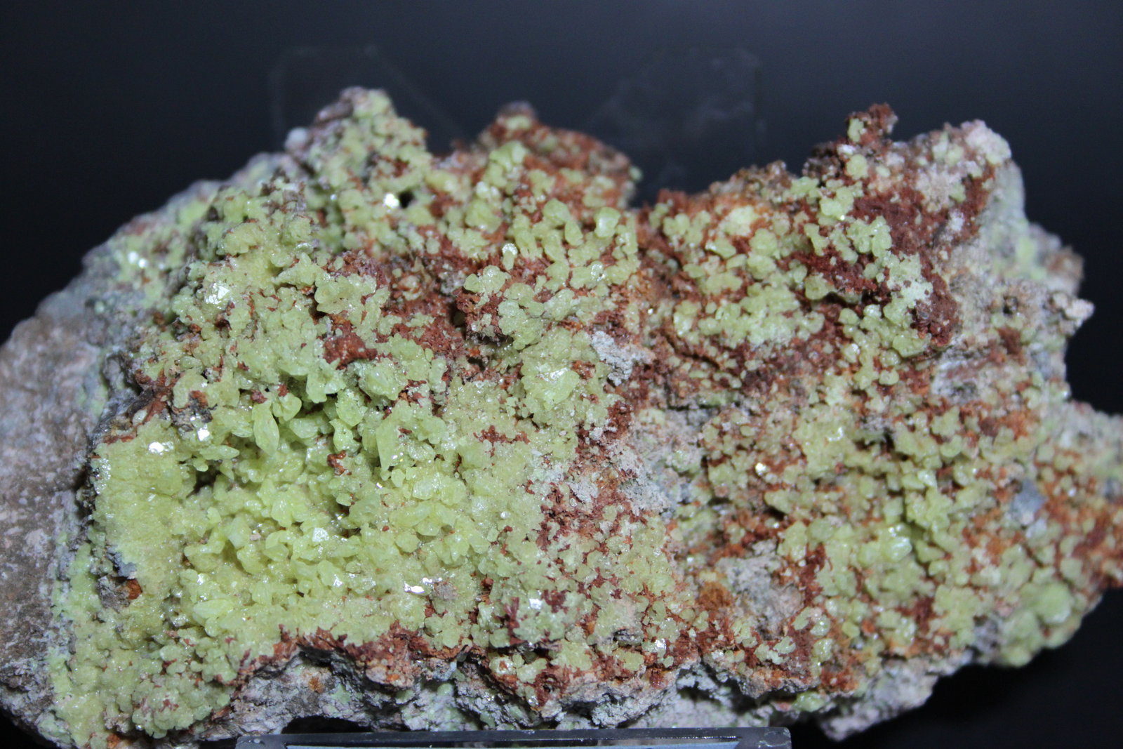 Botriogeno, Azufre
100 x 60 mm
(Autor: Joaquin Blanco Cortina)