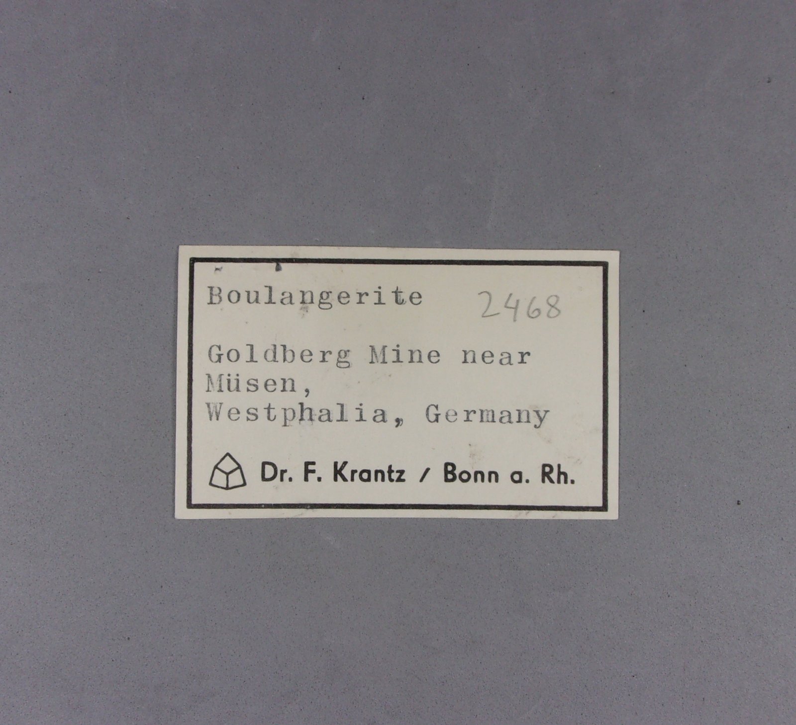 _Boulangerita, etiqueta original Krantz.
7,7 x 5,6 x 3 cm.
(Autor: J. G. Alcolea)