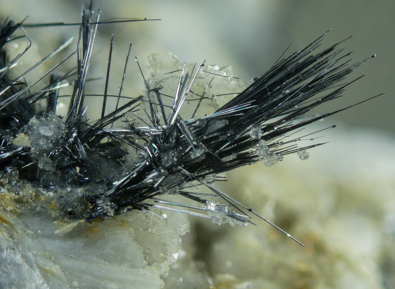 Boulangerita
10 mm
(Autor: Borja Sainz de Baranda)