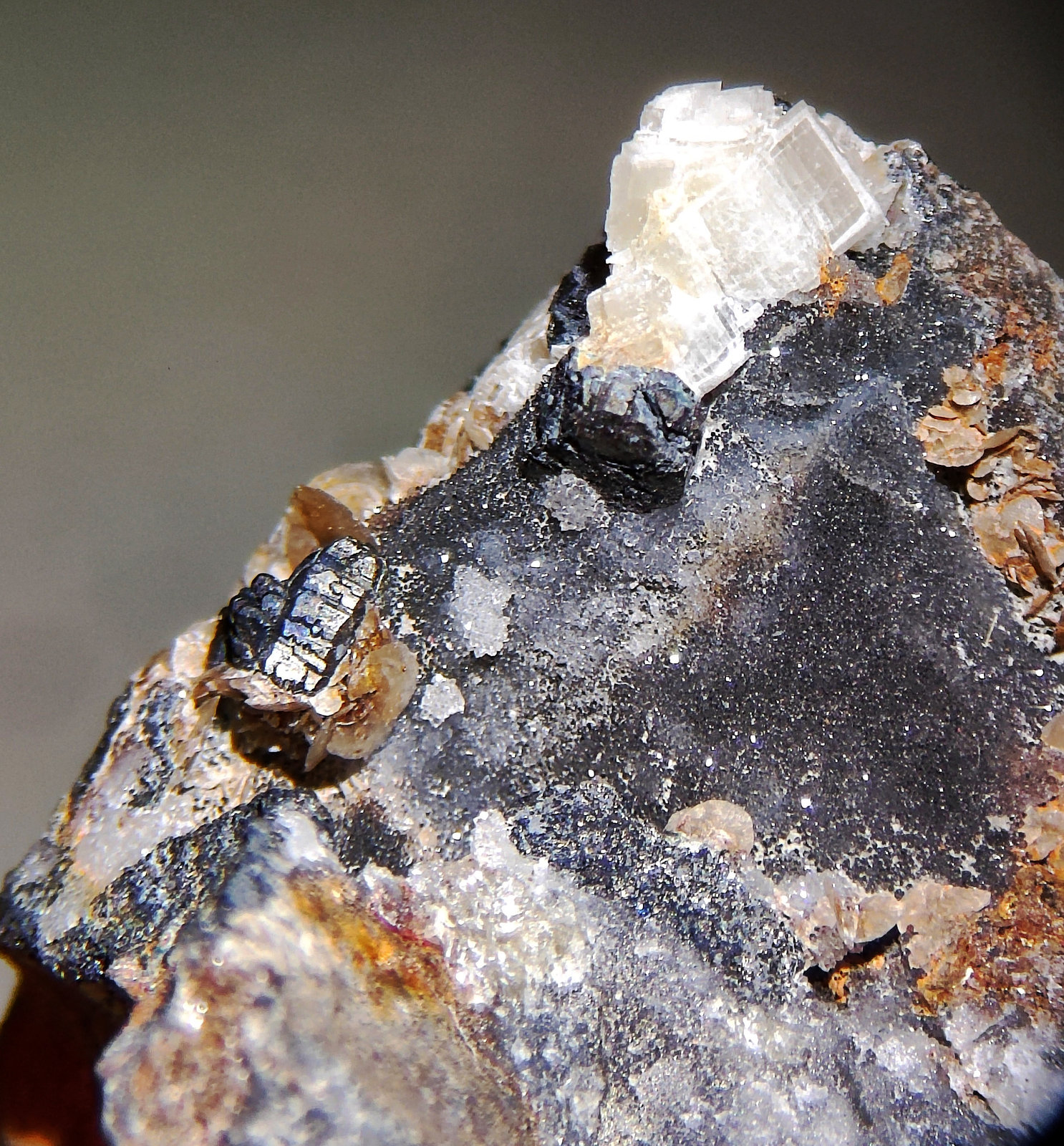 Bournonita, Siderita, Dolomita
4,2 x 4,2 cm.
(Autor: carles)