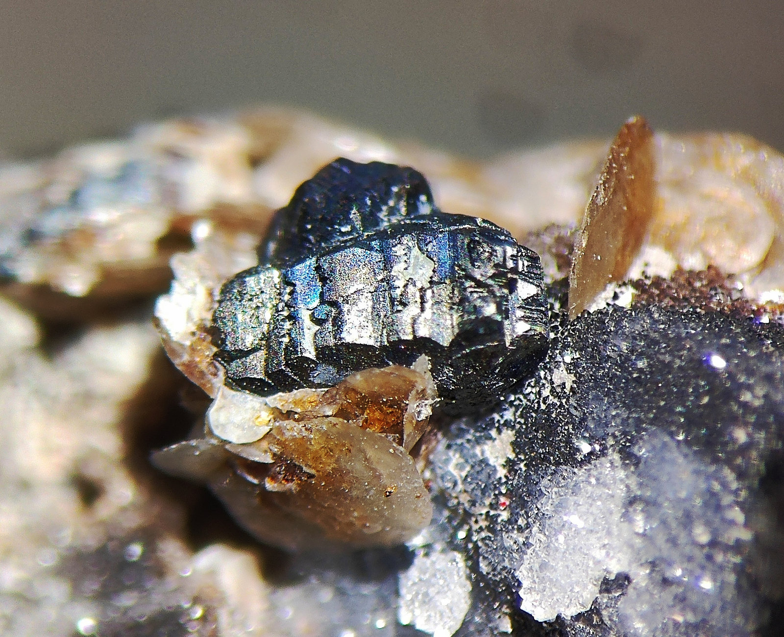 Bournonita, Siderita
C.d.v. 4,0 x 2,0 mm.
(Autor: carles)