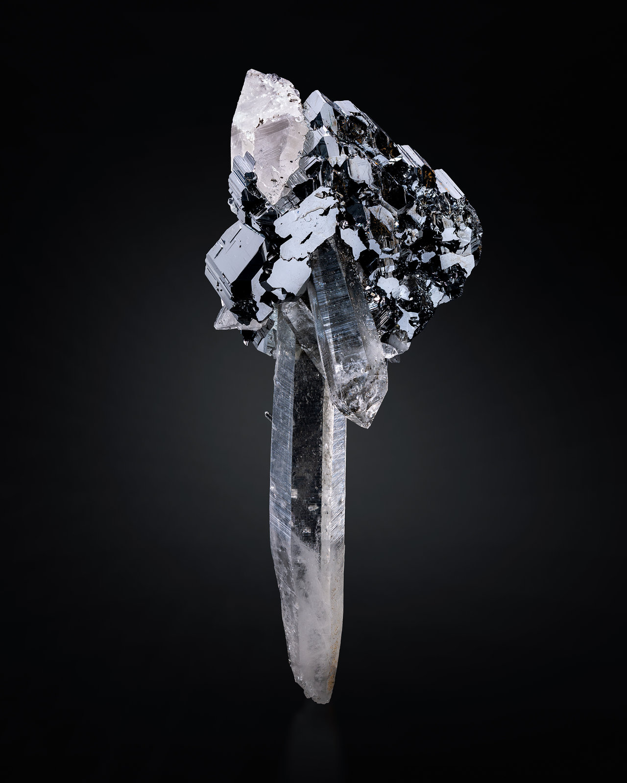 Bournonita en Cuarzo
5.5 x 6 x 13.5 cm / cristal principal: 5.5 cm
(Autor: Museo MIM)