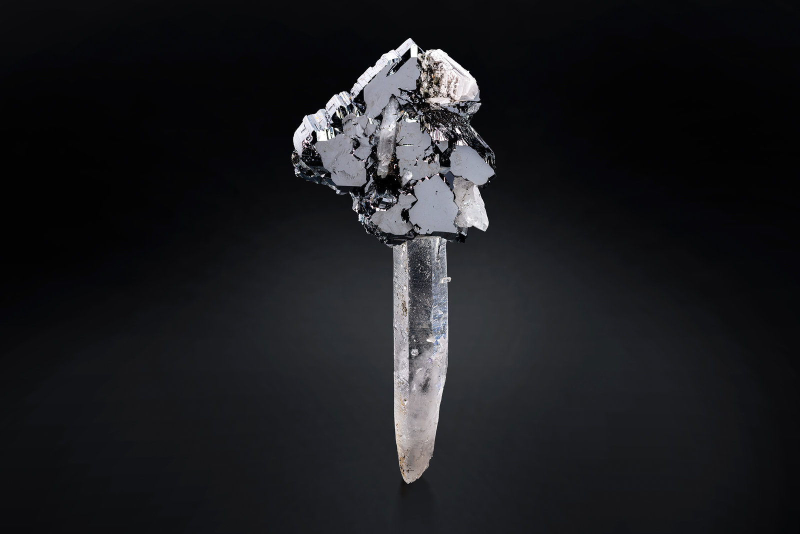 Bournonita en Cuarzo
5.5 x 6 x 13.5 cm / cristal principal: 5.5 cm
(Autor: Museo MIM)