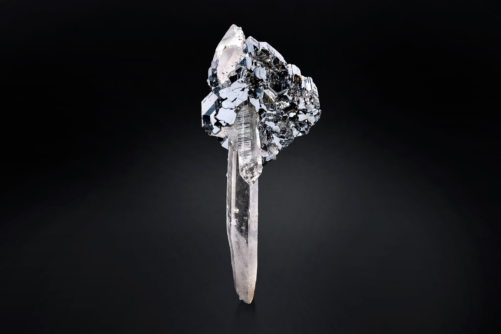 Bournonita en Cuarzo
5.5 x 6 x 13.5 cm / cristal principal: 5.5 cm
(Autor: Museo MIM)