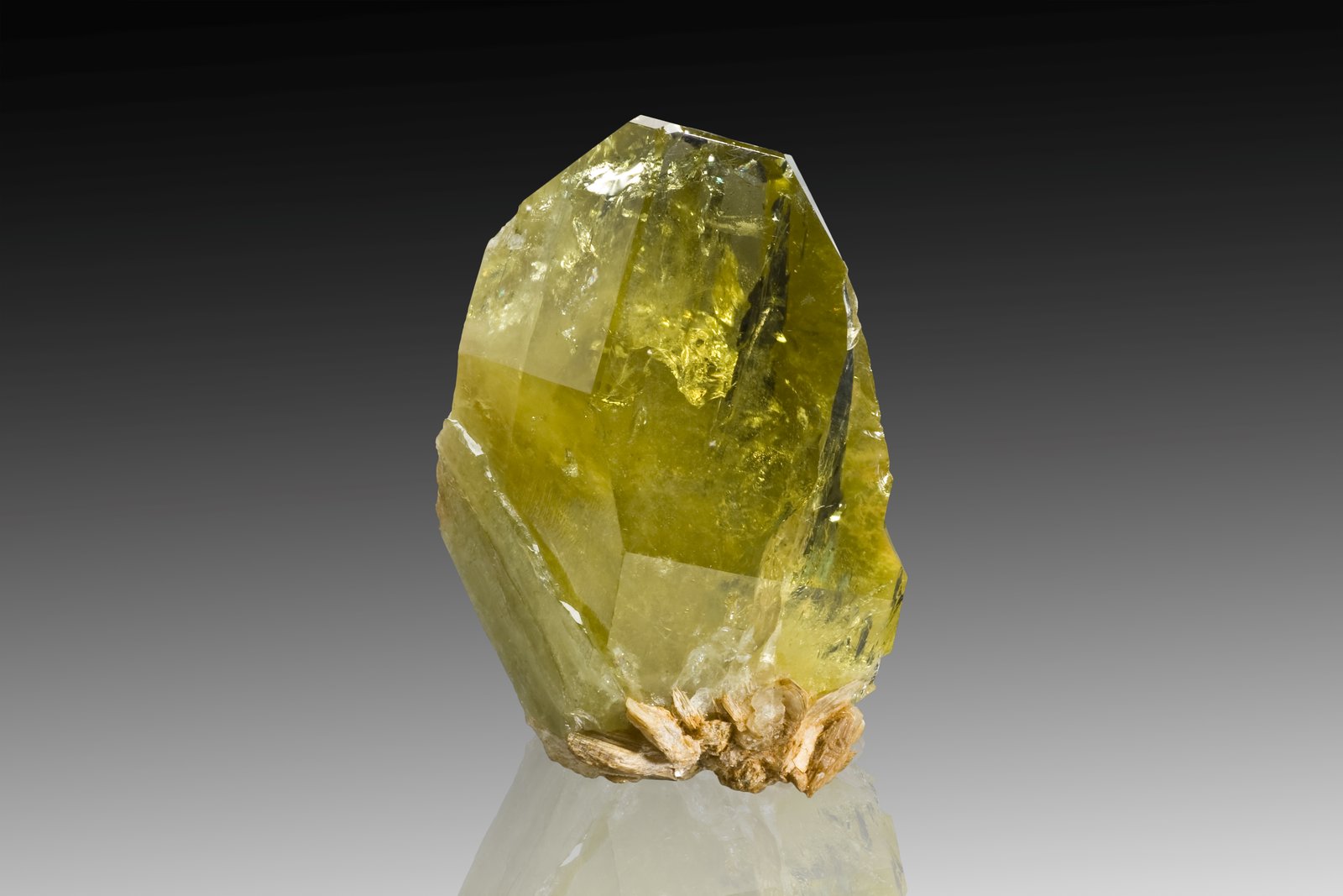 Brasilianita con Mica (Grupo)
5 x 4 x 7.5 cm / Cristal principal: 7.2 cm
(Autor: Museo MIM)