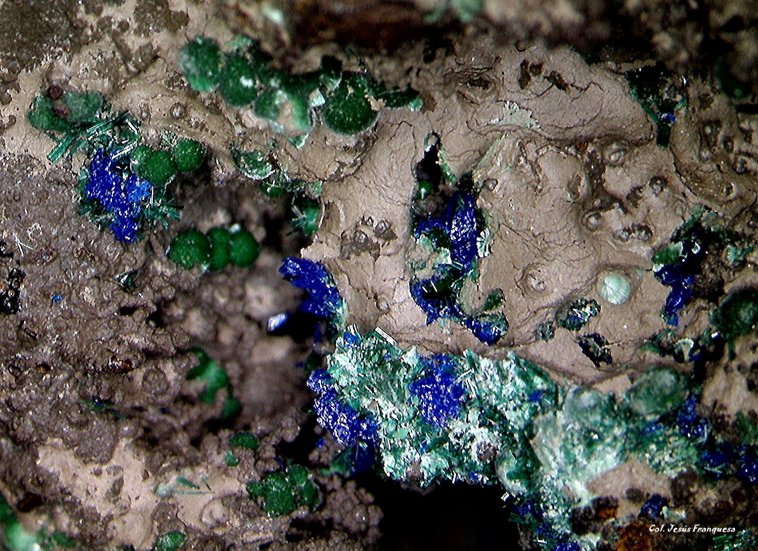 Brochantita y Linarita.
3´507 x 2´506 mm.
(Autor: Jesus Franquesa Baucells)