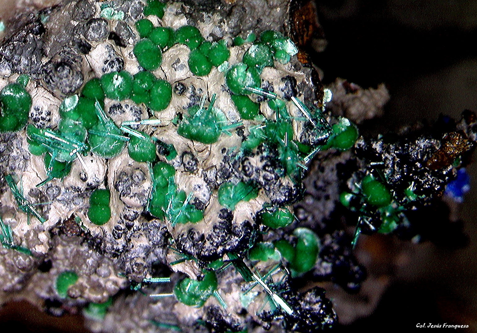 Brochantita y Linarita.
3´991 x 2´475 mm.
(Autor: Jesus Franquesa Baucells)
