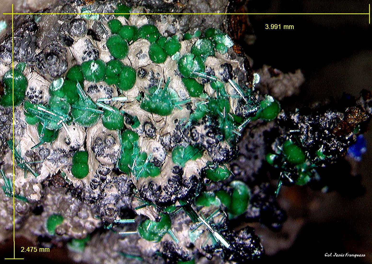Brochantita y Linarita.
3´991 x 2´475 mm.
(Autor: Jesus Franquesa Baucells)