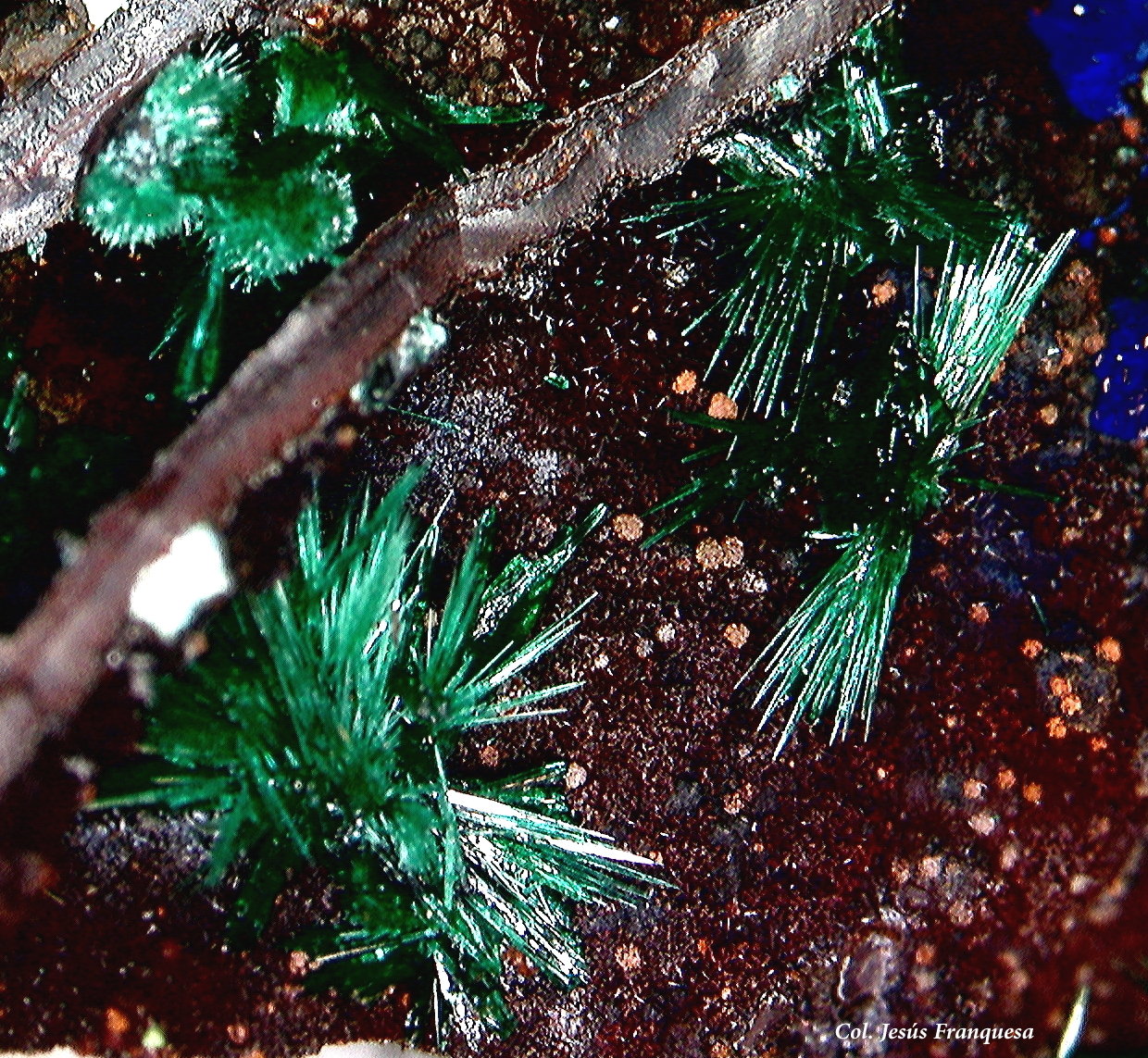 Brochantita.
5´09 x 5´30 mm.
(Autor: Jesus Franquesa Baucells)