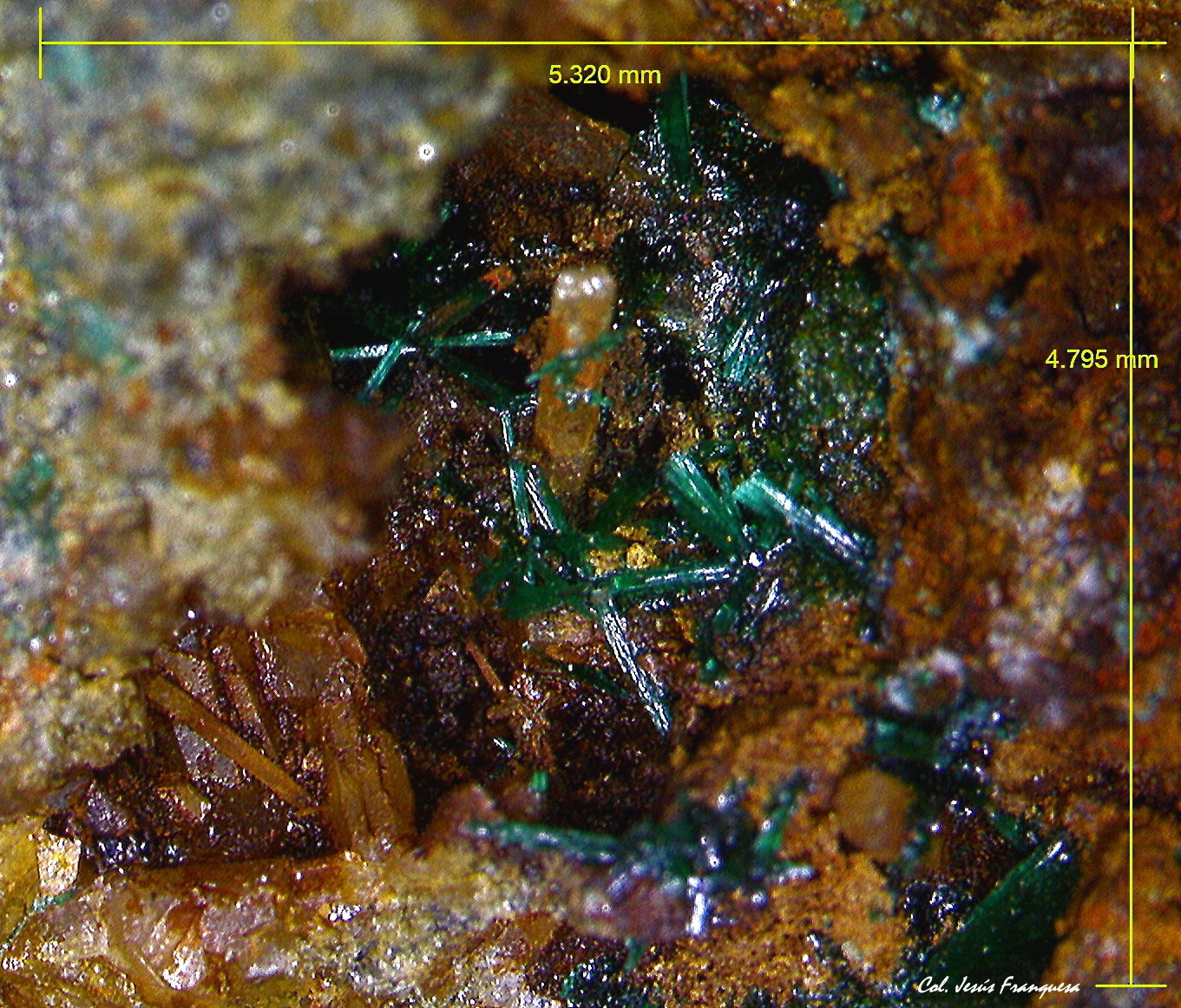 Brochantita y Cuarzo.
5´32x4´79 mm.
(Autor: Jesus Franquesa Baucells)