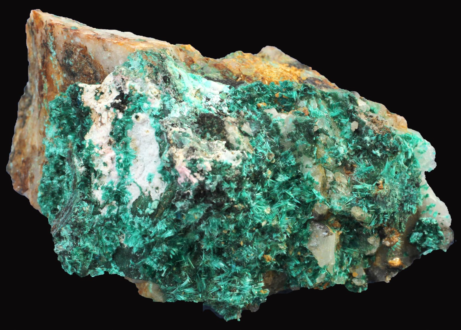 Brochantita +  Cianotriquita + Clinoatacamita
35 x 22 x 17 mm.
(Autor: José Luis Zamora)